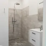 Apartment Comfort W Kitchen & Wifi